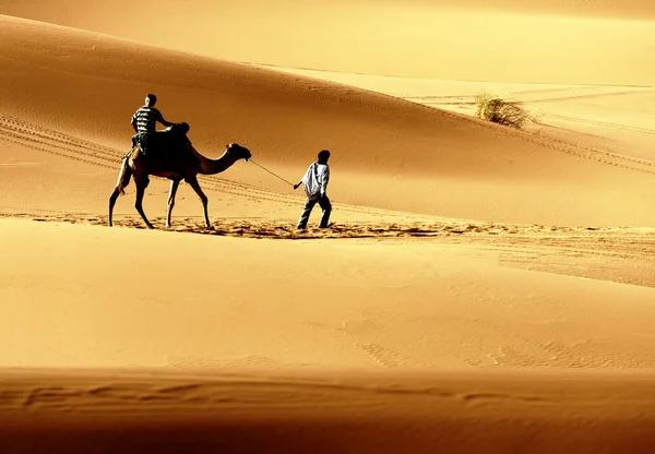 Písečná poušť s dunami v Maroko, merzouga — Stock fotografie