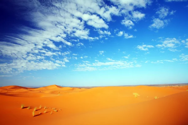 Desert landscape — Stock Photo, Image