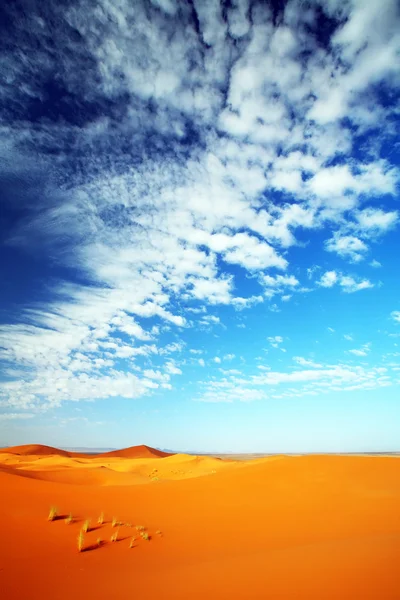 Paisagem do deserto — Fotografia de Stock