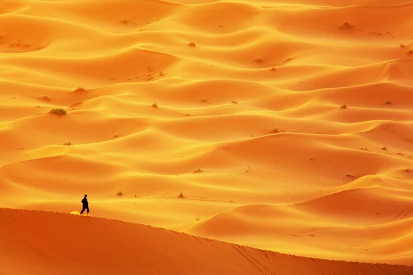 Desert landscape — Stock Photo, Image