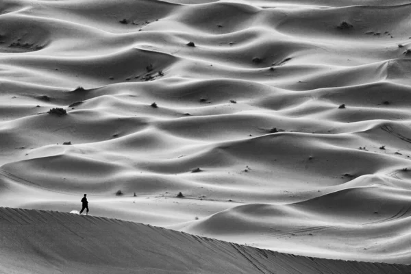 砂漠の風景 — ストック写真