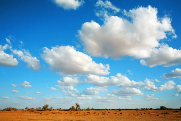 Sahara Desert landscape, Africa — Stock Photo, Image