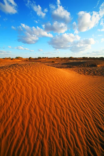 Sahara Desert landscape, Afrique — Photo