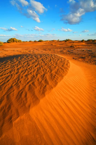 Sahara pouštní krajina, Afrika — Stock fotografie