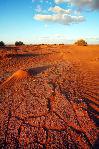 Krajobraz pustyni Sahara, Afryka — Zdjęcie stockowe