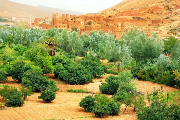 Marokkanische kasbah im dades-tal, afrika — Stockfoto