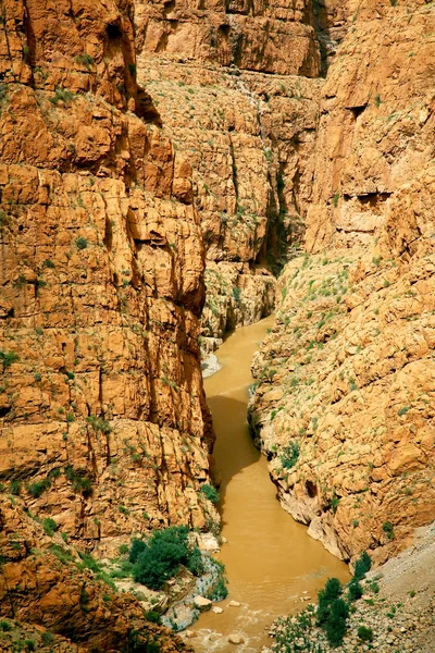 Canyon in Dades Valley, Atlas Mountains, Africa — Stock Photo, Image