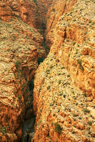 Valle del Dades, Marocco, Africa — Foto Stock