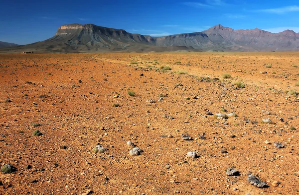 Öken landskap, mellersta Atlasbergen, Marocko, Afrika — Stockfoto