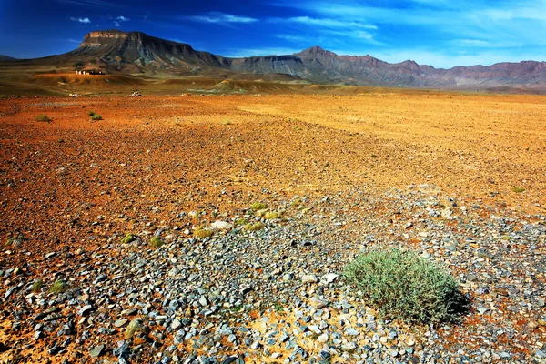 Paysage désertique, Montagnes du Moyen Atlas, Maroc, Afrique — Photo