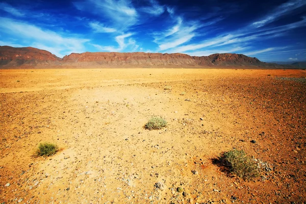 Öken landskap, mellersta Atlasbergen, Marocko, Afrika — Stockfoto