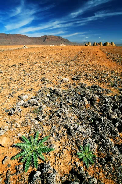 Desert landscape, Middle Atlas Mountains, Morocco, Africa — Stock Photo, Image