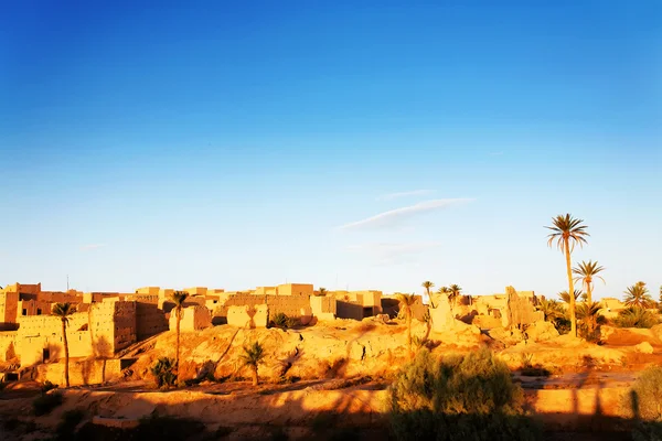 Oasis dans le désert du Sahara, Afrique — Photo