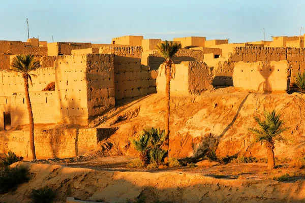 Oasis dans le désert du Sahara, Afrique — Photo