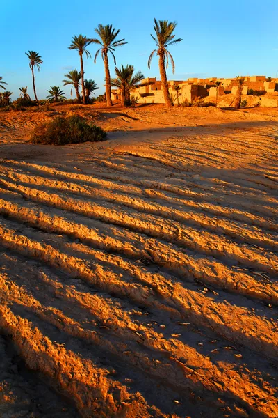 Oase in de Saharawoestijn, Afrika — Stockfoto