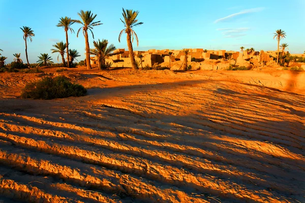 Oase in de Saharawoestijn, Afrika — Stockfoto