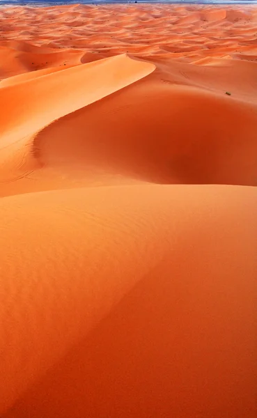 Moroccan desert dune background — Stock Photo, Image