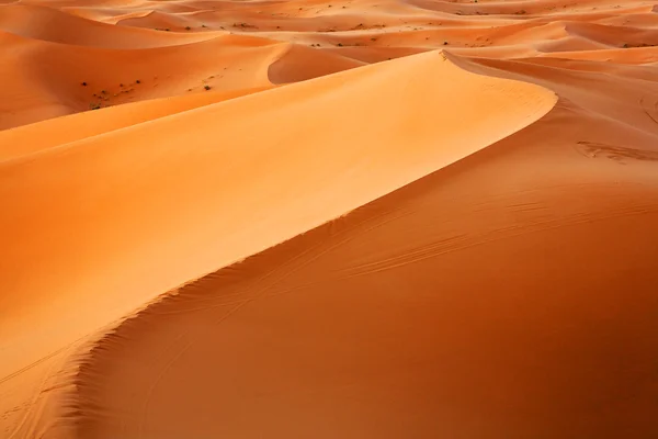 Fondo de dunas del desierto marroquí —  Fotos de Stock