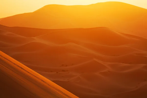 Zonsopgang kijken in de Saharawoestijn, Afrika — Stockfoto