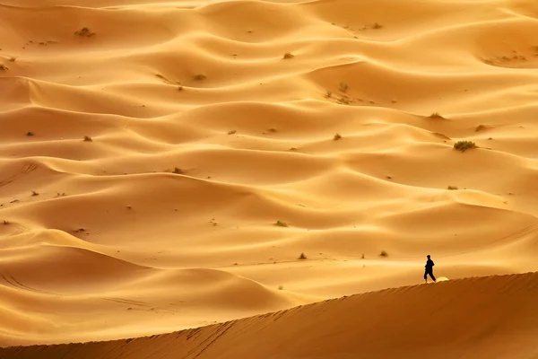 Dune del deserto marocchino sfondo — Foto Stock