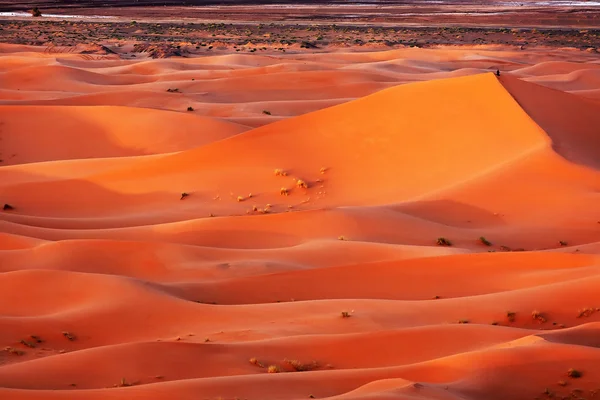 Marockanska öknen dune bakgrund — Stockfoto