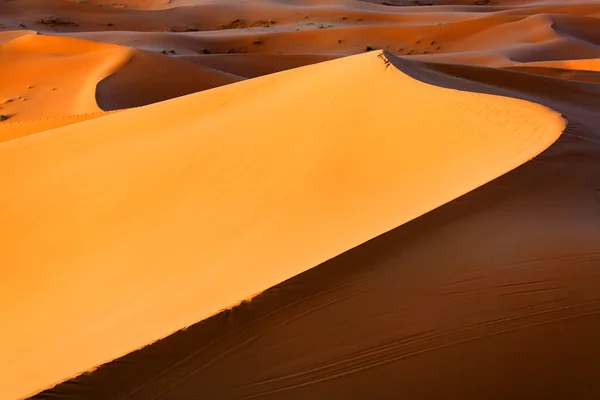 Saara deserto paisagem — Fotografia de Stock