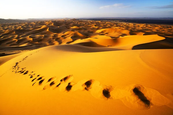 Τοπίο της Ερήμου Σαχάρα — Φωτογραφία Αρχείου