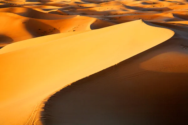 Moroccan desert dune background — Stock Photo, Image
