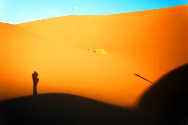 모로코 사막 모래 언덕 배경 — 스톡 사진