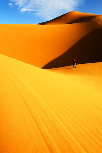 Marokkói sivatagos dűne háttér — Stock Fotó