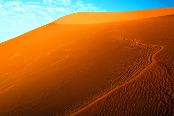 Υπόβαθρο της μαροκινής ερήμου αμμόλοφος — Φωτογραφία Αρχείου