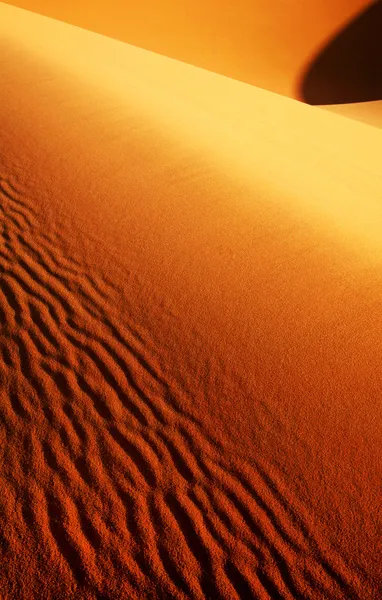 Sahara Desert landscape — Stock Photo, Image