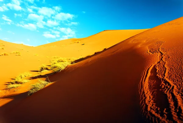 Sahara desierto paisaje — Foto de Stock