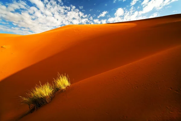 Sahara woestijn landschap — Stockfoto