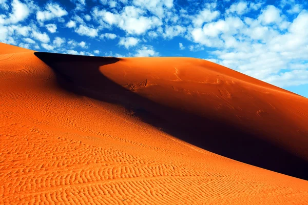 Пустеля Сахара краєвид — стокове фото