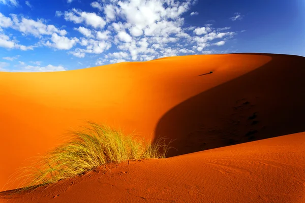 사하라 사막 풍경 — 스톡 사진