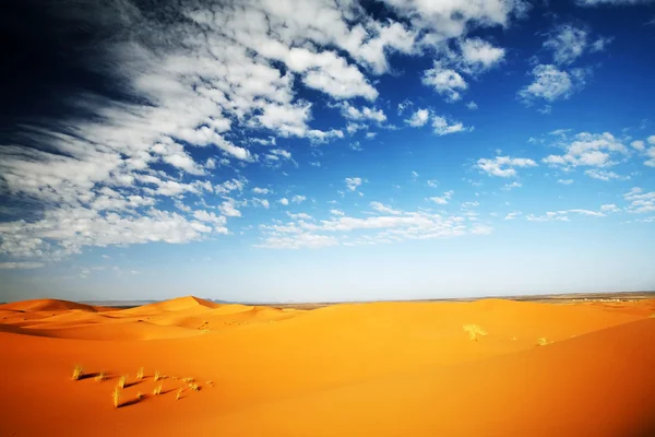 Sahara deserto paesaggio — Foto Stock