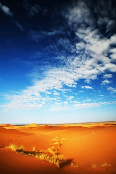 Sahara Desert landscape — Stock Photo, Image