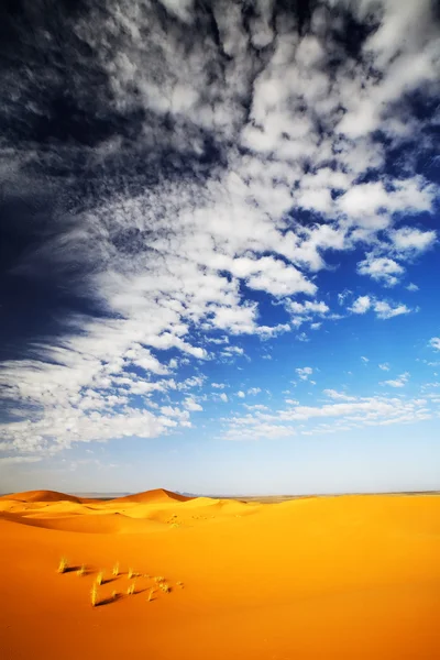 Sahara Desert landscape — Stock Photo, Image