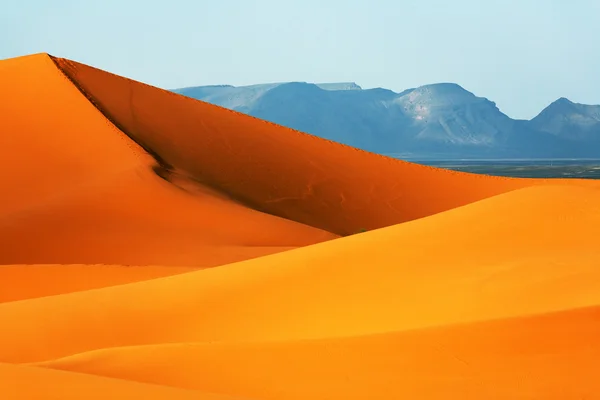 Sahara désert paysage — Photo