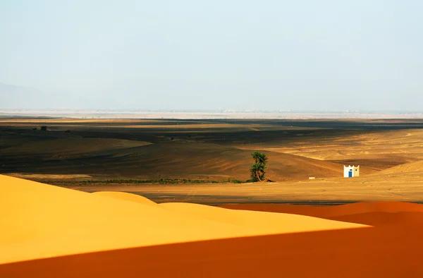 Sahara désert paysage — Photo