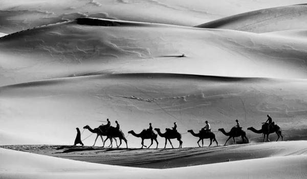 Karawany na pustyni — Zdjęcie stockowe