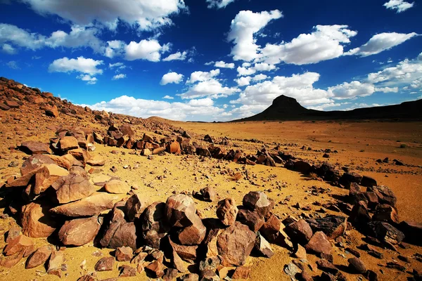 Atlasbergen alplandskap, Afrika — Stockfoto