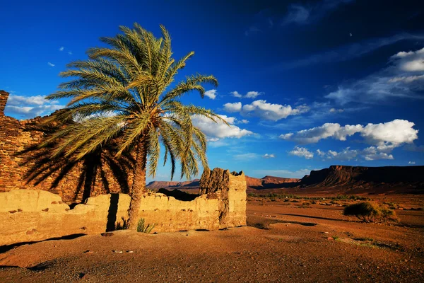 Marokański kasbah ruins, Afryki — Zdjęcie stockowe