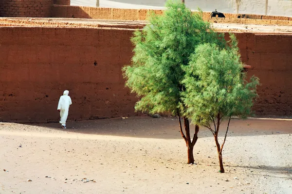 摩洛哥 kasbah 非洲 — 图库照片