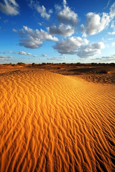 Krajobraz pustyni Sahara — Zdjęcie stockowe