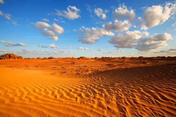 Saara deserto paisagem — Fotografia de Stock