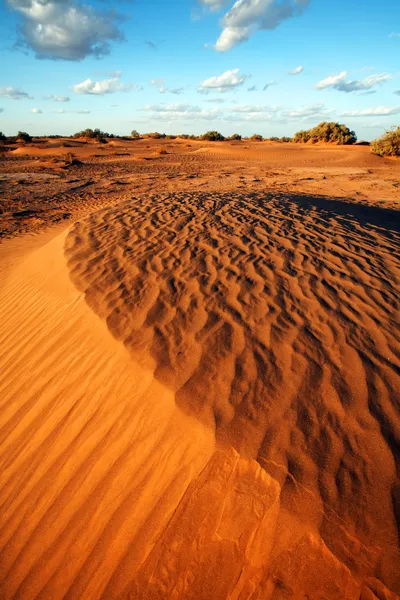 Sahara pouštní krajina — Stock fotografie