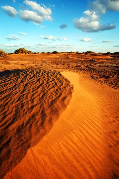 Sahara pouštní krajina — Stock fotografie