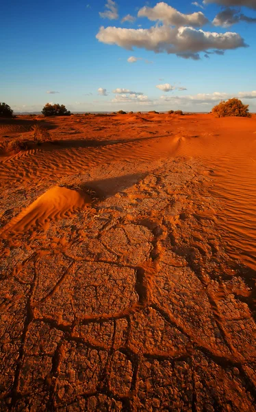 Sahara desierto paisaje — Foto de Stock
